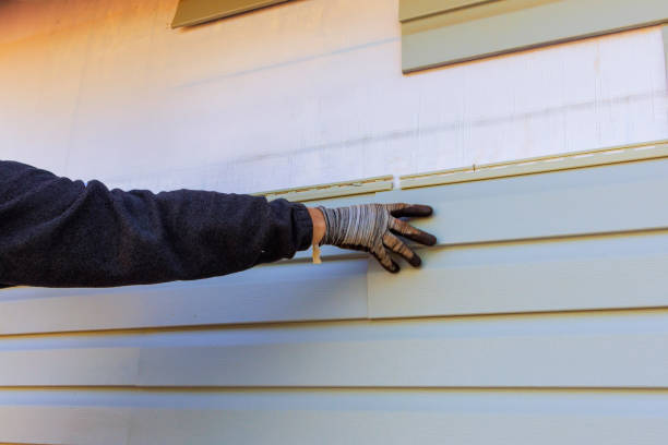 Best Siding for New Construction  in Lake Holiday, IL